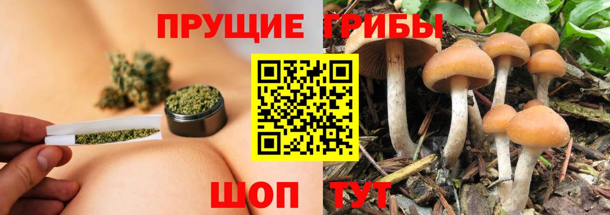 наркота  Псилоцибиновые грибы GOLDEN TEACHER  Котовск  Вход с VPN  Галлюциногенные грибы мухоморы 