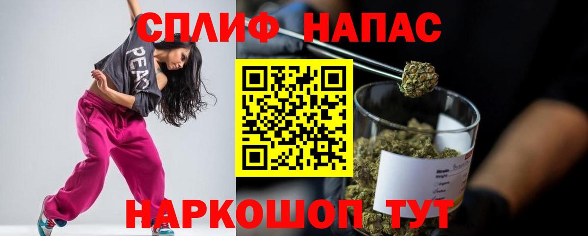 Конопля сатива Котовск